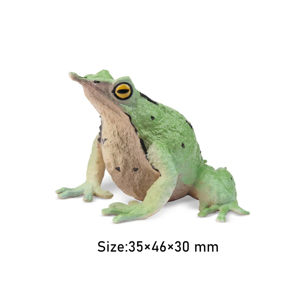 Darwin's frog  Toymany