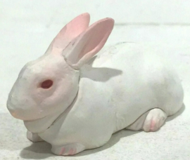 White Japanese Rabbit