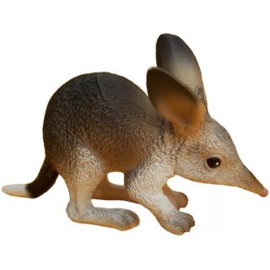 Bilby  75370