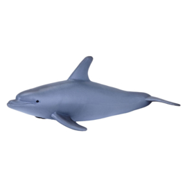 Dolphin  Mojo 387118