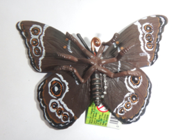 Blauwe Morpho  Safari 542806