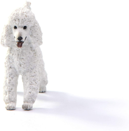 Poodle Schleich 13917