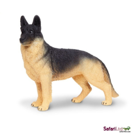 German sheppard Safari 251729