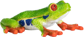Red eyed tree frog Mojo 387299