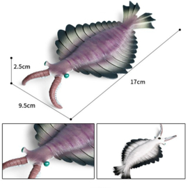 Anomalocaris  (Cambrium)