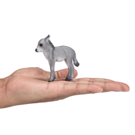 Ezel veulen Mojo 387398