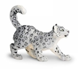 Snowleppard cub S237629
