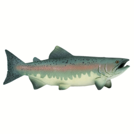 Salmon  S100205