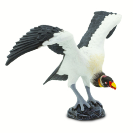 King Vulture   S100270