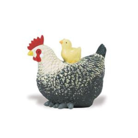 Kip met kuiken S231629