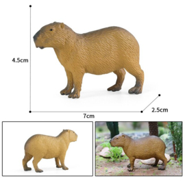 Capibara standing