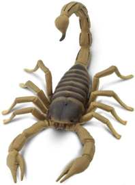 Scorpion    Safari Ltd S100260   large