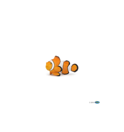 Clownfish    Papo 56023