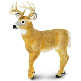 Deer    XXL    S113589