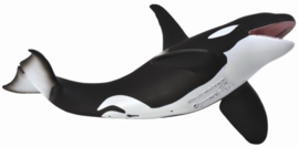 Orca  CollectA 88043