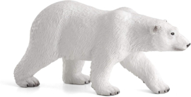 Polar bear  Mojo 387019