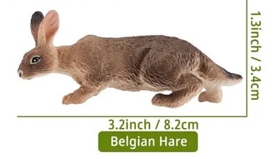 Belgian hare  Toymany