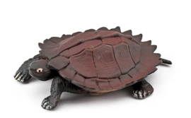Stekelschildpad klein