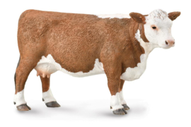 Hereford Cow    CollectA 88860