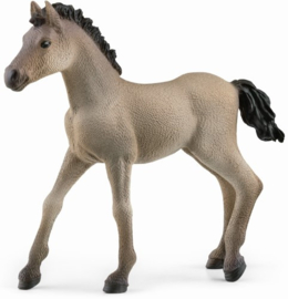 Criollo Definitivo foal - Schleich 13949