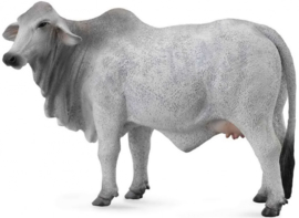 Brahman  bovine  CollectA 88580