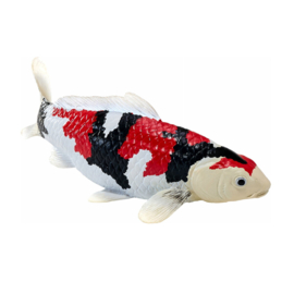 Koi karper Showa Sanshoku Mojö 381103