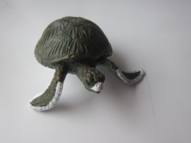 Zeeschildpad groen   medium