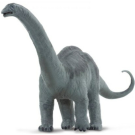 Apatosaurus  S 30004