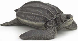 Leatherback  Papo 56022