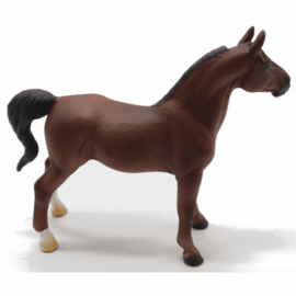 American saddlebred stallion Collecta XL 88954