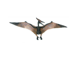 Pteranodon  Papo 55006