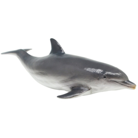 Dolfijn XXL Recur