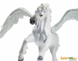 Pegasus