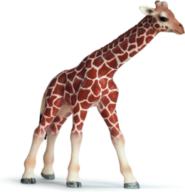 Giraffe calf Schleich 14321 retired
