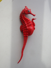 Seahorse  red   Safari  252429