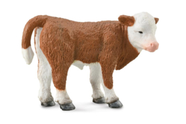Hereford calf standing CollectA 88236