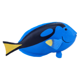 Blue tang     Mojo 387269