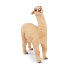 Female Alpaca  Toymany