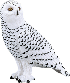 Snowowl  Mojo 387201