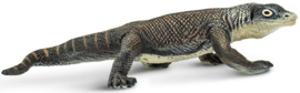 Komodo Dragon  S100263
