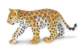Leopard Cub  S271629