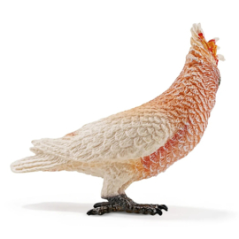 Major Mitchell's Cockatoo