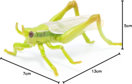 Sprinkhaan  Papo  50268