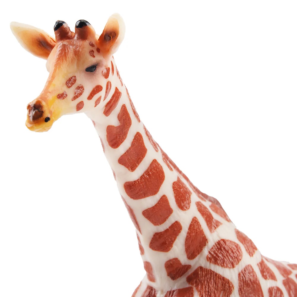 Giraffe standing  Toymany