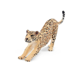 Jaguar Stretching Male  Toymany