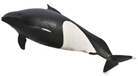 Dalls bruinvis   CollectA 80068  pre-sale 2026