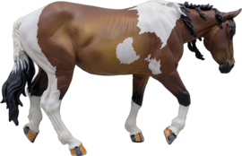 Pinto Mustang  merrie en veulen