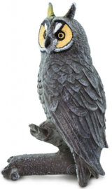 Long Eared Owl   S100093