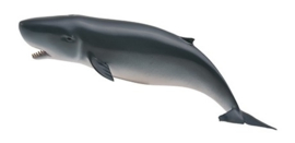 Pygmy Sperm Whale   CollectA 88653