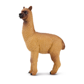 Brown Male Alpaca  Toymany